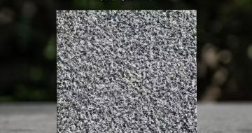 葫芦岛 芝麻黑荔枝面