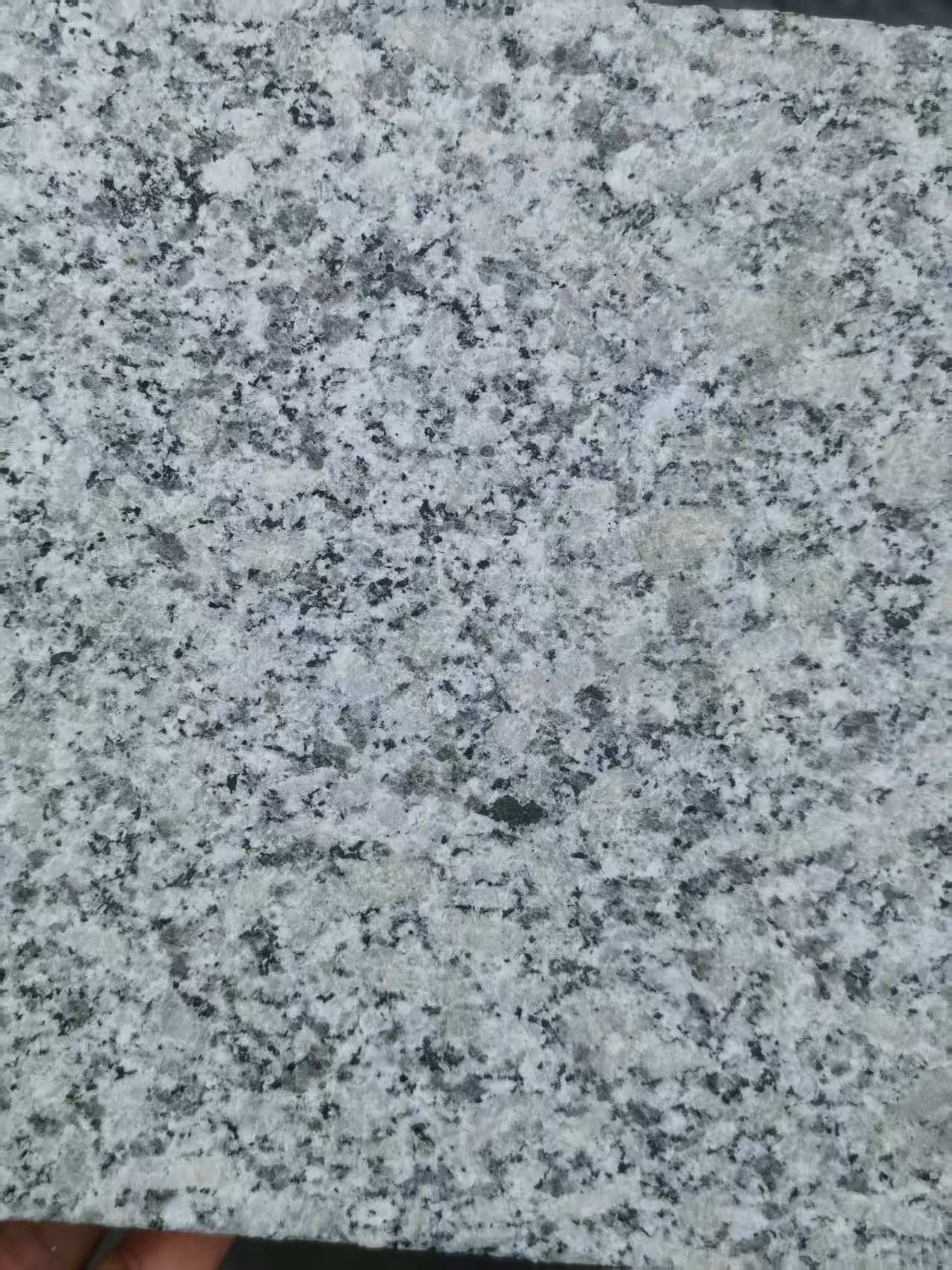葫芦岛 芙蓉白火烧面