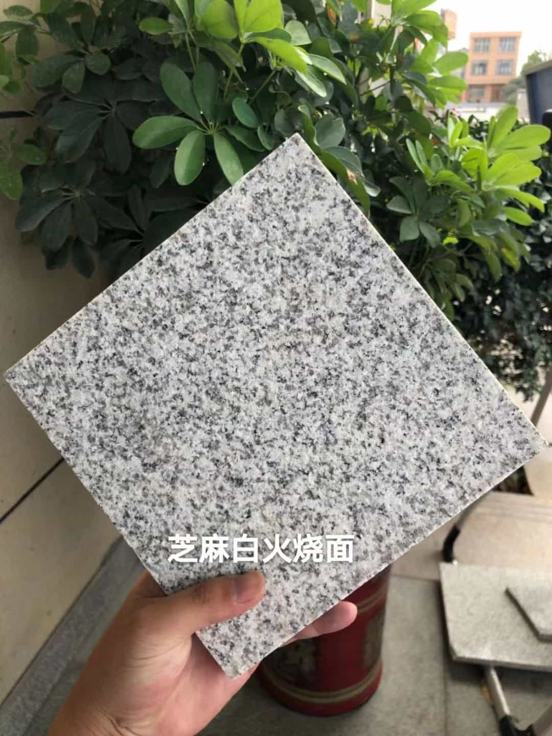 葫芦岛芝麻白火烧面地铺