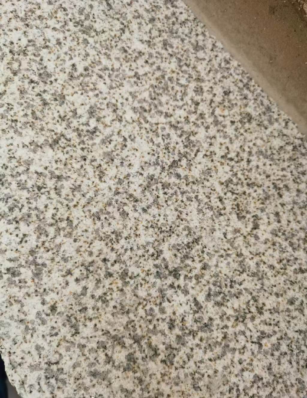 葫芦岛 黄金麻中黄光面
